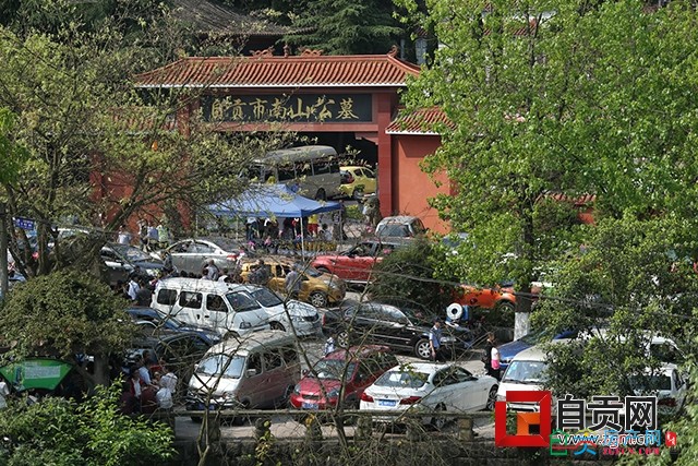 清明三天我市近7万人到南山公墓祭扫