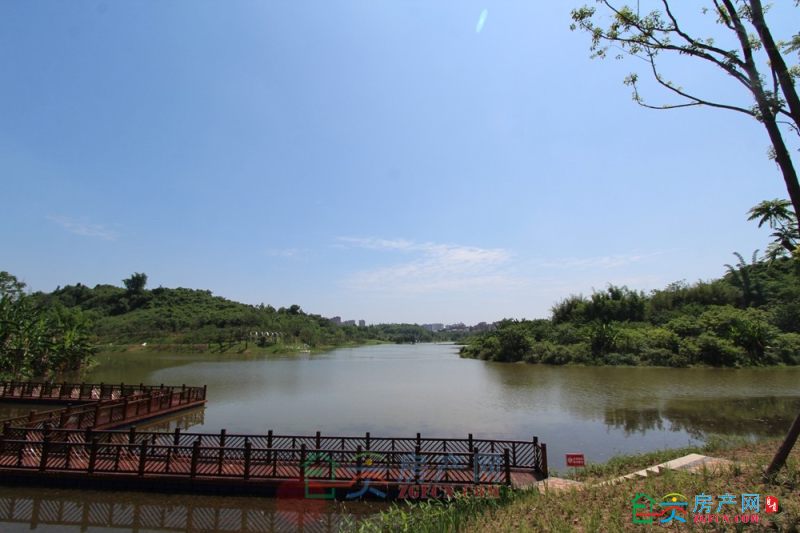 燊海森林上湖区美景出炉 湖居公园生活才是避暑秘诀